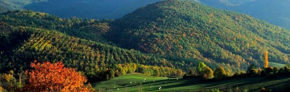 Midi-Pyrénées